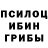 Галлюциногенные грибы Cubensis Natala Humakova