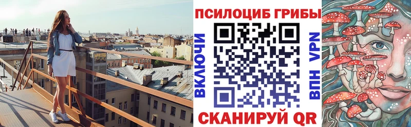 Купить где  Аша  Псилоцибиновые грибы Cubensis 